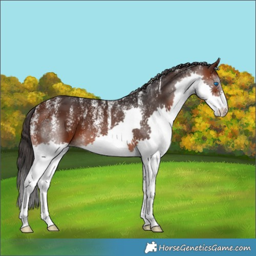Horse Color:Powder White Brown Splash