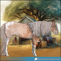 Horse Color:Painted Gold Champagne Ice Tobiano 