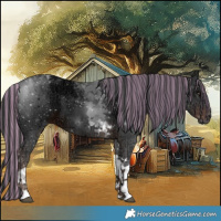 Horse Color:Painted Liver Chestnut Ice Tobiano 