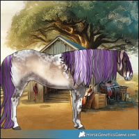 Horse Color:Painted Liver Red Onyx Ice Tobiano 