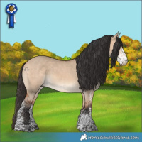 Horse Color:Bay Dun Sabino Rabicano 