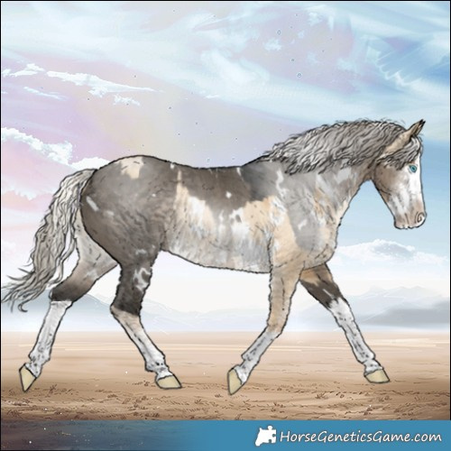 Horse Color:White Spotted Silver Buckskin Pearl Dun Sabino Rabicano  and Gray White Spotted Silver Smoky Grullo Sabino Splash Rabicano 