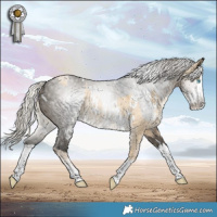 Horse Color:White Spotted Silver Buckskin Pearl Dun Sabino Rabicano  and Gray White Spotted Silver Smoky Grullo Sabino Splash Rabicano 