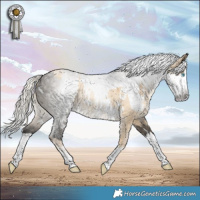 Horse Color:White Spotted Silver Buckskin Pearl Dun Sabino Rabicano  and Gray White Spotted Silver Smoky Grullo Sabino Splash Rabicano 