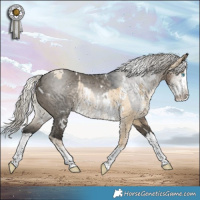 Horse Color:White Spotted Silver Buckskin Pearl Dun Sabino Rabicano and Gray White Spotted Silver Smoky Grullo Sabino Splash Rabicano