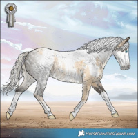 Horse Color:White Spotted Silver Buckskin Pearl Dun Sabino Rabicano  and Gray White Spotted Silver Smoky Grullo Sabino Splash Rabicano 
