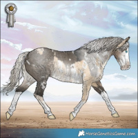Horse Color:White Spotted Silver Buckskin Pearl Dun Sabino Rabicano  and Gray White Spotted Silver Smoky Grullo Sabino Splash Rabicano 