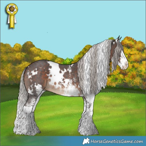 Horse Color:White Spotted Silver Brown Splash