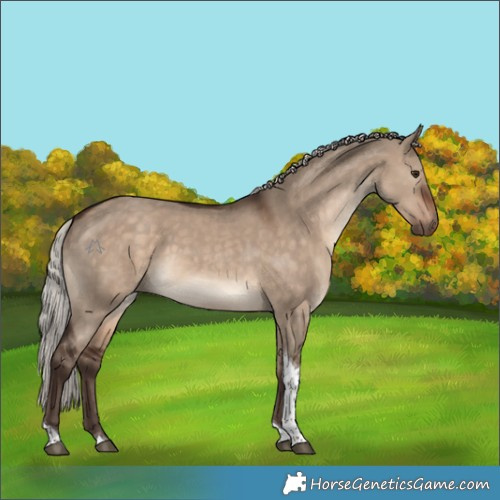 Horse Color:Silver Brown Dun Tobiano 
