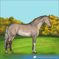 Horse Color:Silver Brown Dun Tobiano 
