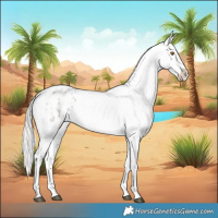 Horse Color:Silver Grullo Roan Snowflake Varnish Rabicano 
