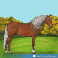 Horse Color:Silver Bay Tobiano Rabicano 