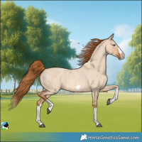 Horse Color:Red Dun Roan Splash Frame Rabicano