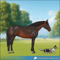 Horse Color:Brown 