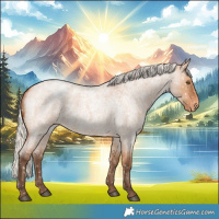 Horse Color:Silver Bay Roan Dun Appaloosa Rabicano 