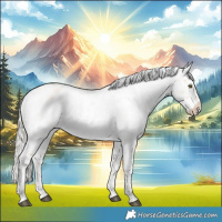 Horse Color:Silver Bay Roan Dun Appaloosa Rabicano 