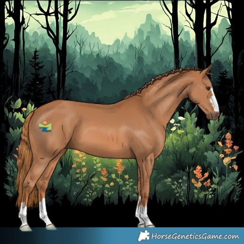 Horse Color:Chestnut 