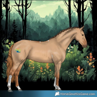 Horse Color:Red Dun Tobiano