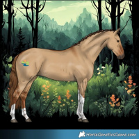 Horse Color:Gray Red Dun Tobiano