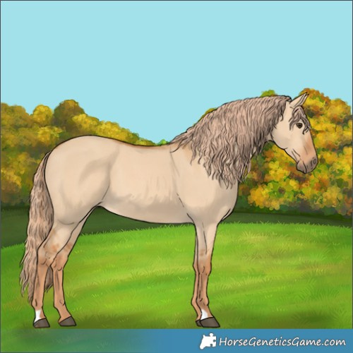 Horse Color:Red Dun