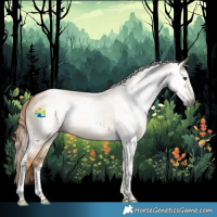 Horse Color:Gray Red Dun Roan Tobiano 