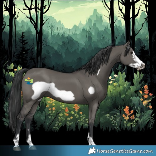 Horse Color:Grullo Frame 