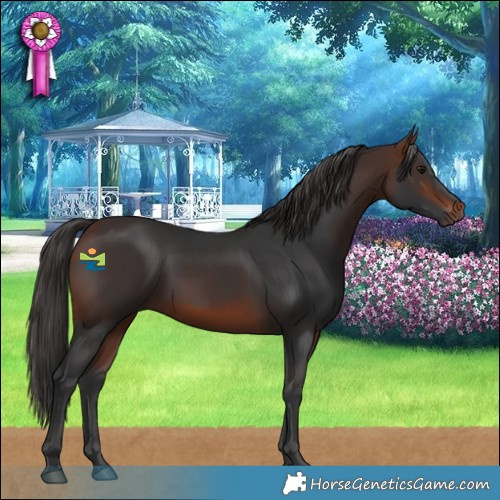 Horse Color:Brown 