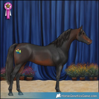 Horse Color:Brown 