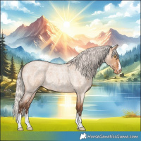 Horse Color:Silver Bay Roan Dun Appaloosa Rabicano 
