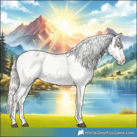 Horse Color:Silver Bay Roan Dun Snowflake Varnish Rabicano