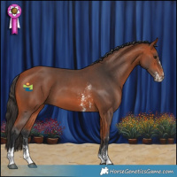 Horse Color:Bay Sabino 