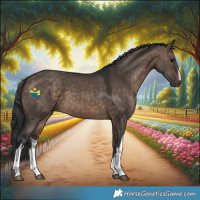 Horse Color:White Spotted Brown Dun 