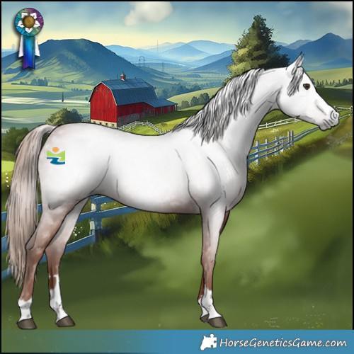 Horse Color:Gray Chestnut 