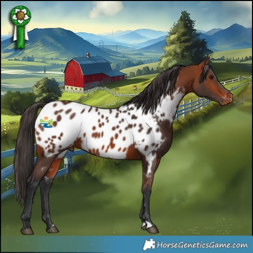 Horse Color:Bay Near Leopard 