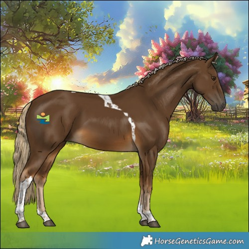 Horse Color:Chocolate Palomino Tobiano 