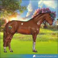 Horse Color:White Spotted Chestnut Tobiano 