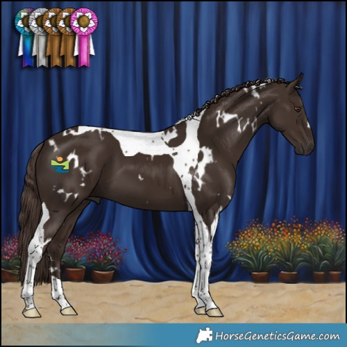 Horse Color:White Spotted Liver Chestnut Tobiano 