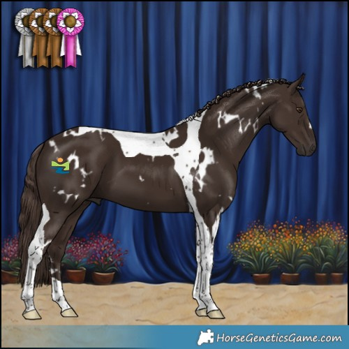 Horse Color:White Spotted Liver Chestnut Tobiano 
