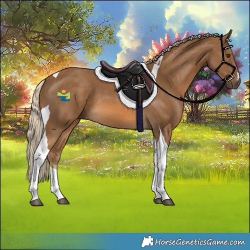 Horse Color:Chocolate Palomino Tobiano 