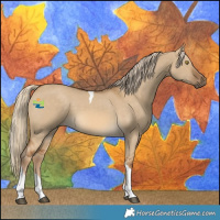 Horse Color:Chocolate Palomino Dun Tobiano 