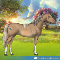 Horse Color:Chocolate Palomino Dun Tobiano 