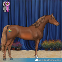 Horse Color:Chestnut 