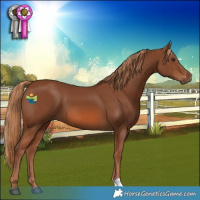 Horse Color:Chestnut 