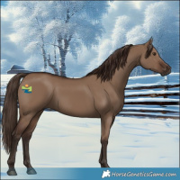 Horse Color:Liver Red Dun 