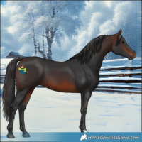 Horse Color:Brown 