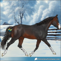 Horse Color:Brown 
