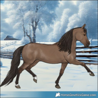 Horse Color:Liver Red Dun Rabicano 