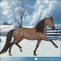 Horse Color:Liver Red Dun Rabicano