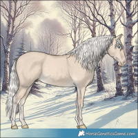 Horse Color:Silver Perlino Dun Frame 