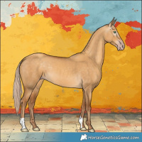 Horse Color:Gray Gold Cream Champagne Dun 
